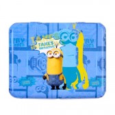 Buon punto Minions blue box