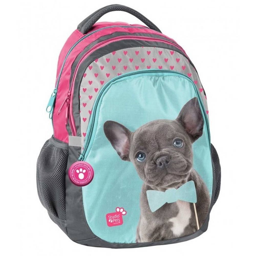 mini backpack dog