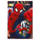 Spiderman Polar Plaid 100 x 140 cm-cover