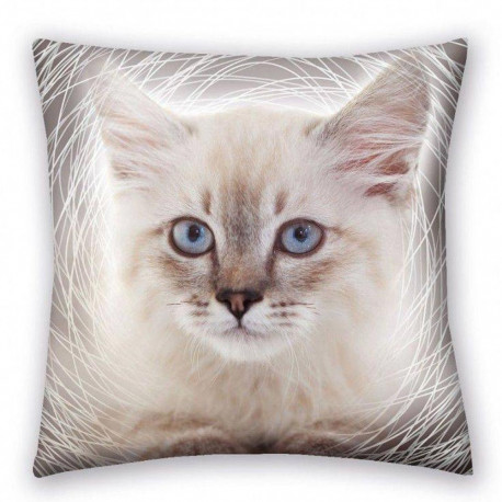 Coussin Chat 40 CM