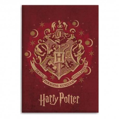 Treccia polare Harry Potter 100 x 140 cm - Copertura HP