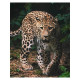 Leopard Microflanelle Plaid 120 x 150 cm - Cobertura de microflanelle