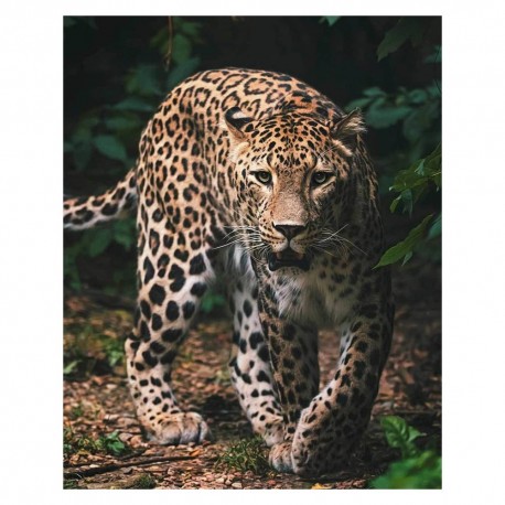 Leopard Microflanelle Plaid 120 x 150 cm - Microflanelle Coverage