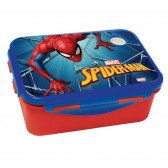 Spiderman vechten 17 CM smaak doos