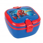Spiderman Geschmack Box - 18 CM