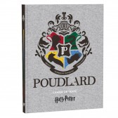 Harry Potter Gryffondor 21 CM Tekstboek - Dagboek