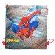 Bolsa de piscina Spiderman