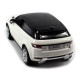 2013 Range Rover Sport Coche de control remoto - 1/14
