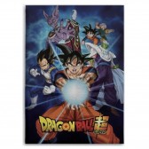 Polar Plaid Dragon Ball Z 150 x 120 cm - Cover
