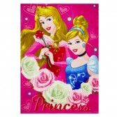Polar Plaid Princess Disney 120x90cm - Funda