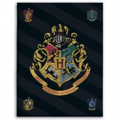 Plaid polaire Harry Potter 100 x 140 cm - Couverture