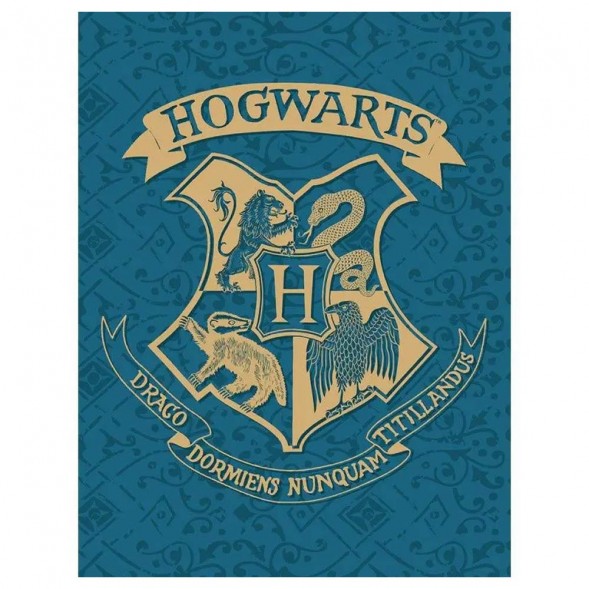 Polplaid Harry Potter Quidditch 130 x 170 cm - Decke