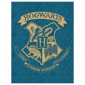 Plaid polaire Harry Potter Bleu 130 x 170 cm - Couverture