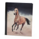 Classeur A4 Cheval 32 CM