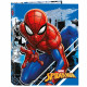 Classeur A4 Spiderman Building Marvel 33 CM
