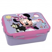 Minnie Mouse17 CM Taste Box