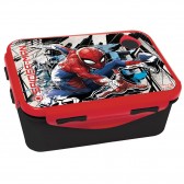 Spiderman Web 17 CM Taste Box