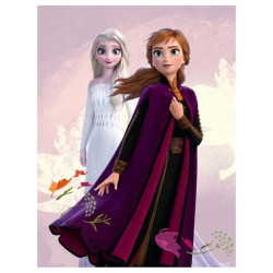 Plaid La Reine des Neiges 2 140x100cm - Couverture polaire Frozen