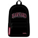 Sac à dos Harvard University 45 CM - 3 Cpt