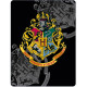 Polarplaid Harry Potter 100 x 140 cm - HP Abdeckung
