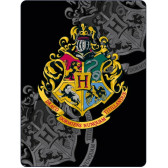 Treccia polare Harry Potter 100 x 140 cm - Copertura HP