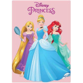 Plaid polaire Princesse Disney 100 x 140 cm - Couverture