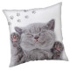 Coussin Chaton gris 40 CM