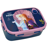 Caja de Snacks Congelados 17 CM