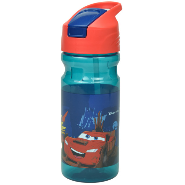 Cantimplora Rapunzel 500 ML