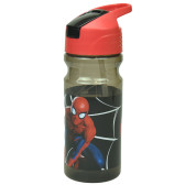 Gourde Spiderman Black Evolve 500 ML - Marvel