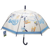 Gabby und das magische Haus Regenschirm 43 cm