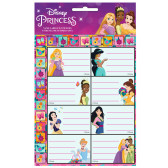 Disney Princess School Tags - Set of 16