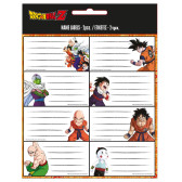 Dragon Ball Z School Tags - Set di 16