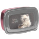 Kitten Awesome Caja de Merienda 18 CM