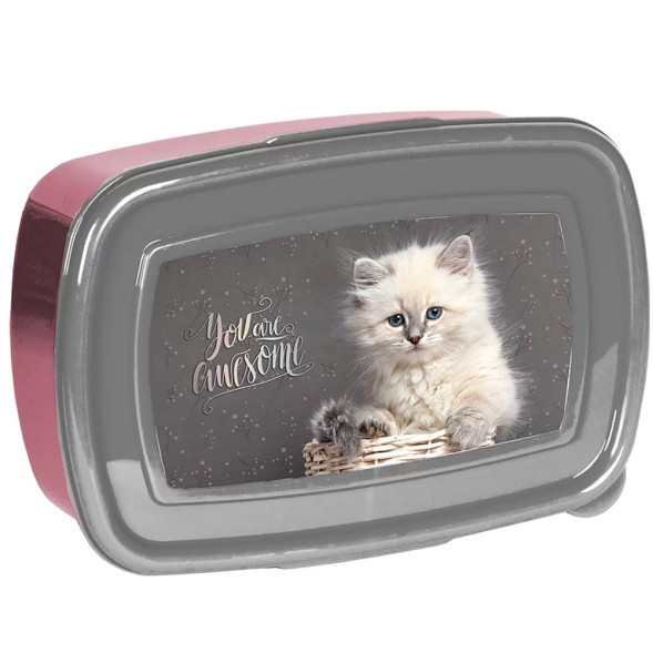 Kitten Awesome Snack Box 18 CM