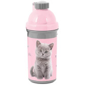 Grey Cute Kitten Water Bottle - 18 CM