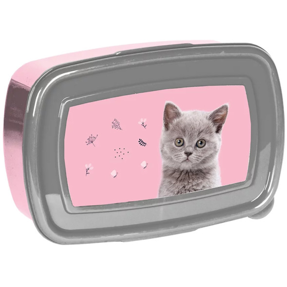 Grey Kitten Snack Box 18 CM