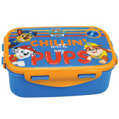 Caja de aperitivos Paw Patrol Chill 17 CM