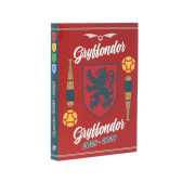 Harry Potter Hogwarts 17 CM Agenda 2021-2022