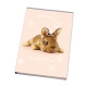 Agenda HUM'ANIMALS STREET - Anno 2025-2026