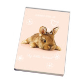 HUM'ANIMALS STREET Agenda - Year 2025-2026