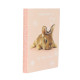 Agenda HUM'ANIMALS STREET - Anno 2025-2026