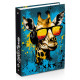 Raccoglitore Nerf - Formato A4 - 32 CM
