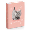 Classeur A4 LITTLE FRIENDS - 4 anneaux - 32 CM