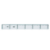 Regola Trasparente 30 CM