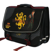 Mochila Escolar Harry Potter QUIDDITCH - 38 CM - Alta gama