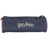 Ronde Etui Harry Potter QUIDDITCH - 22 CM