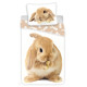 Parure housse de couette coton Lapin Marron 140x200 cm et Taie d'oreiller