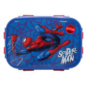 Boite gouter Spiderman Web 17 CM
