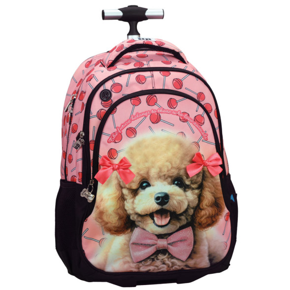 No Fear Ombre Rolling Backpack 48 CM – Premium Trolley